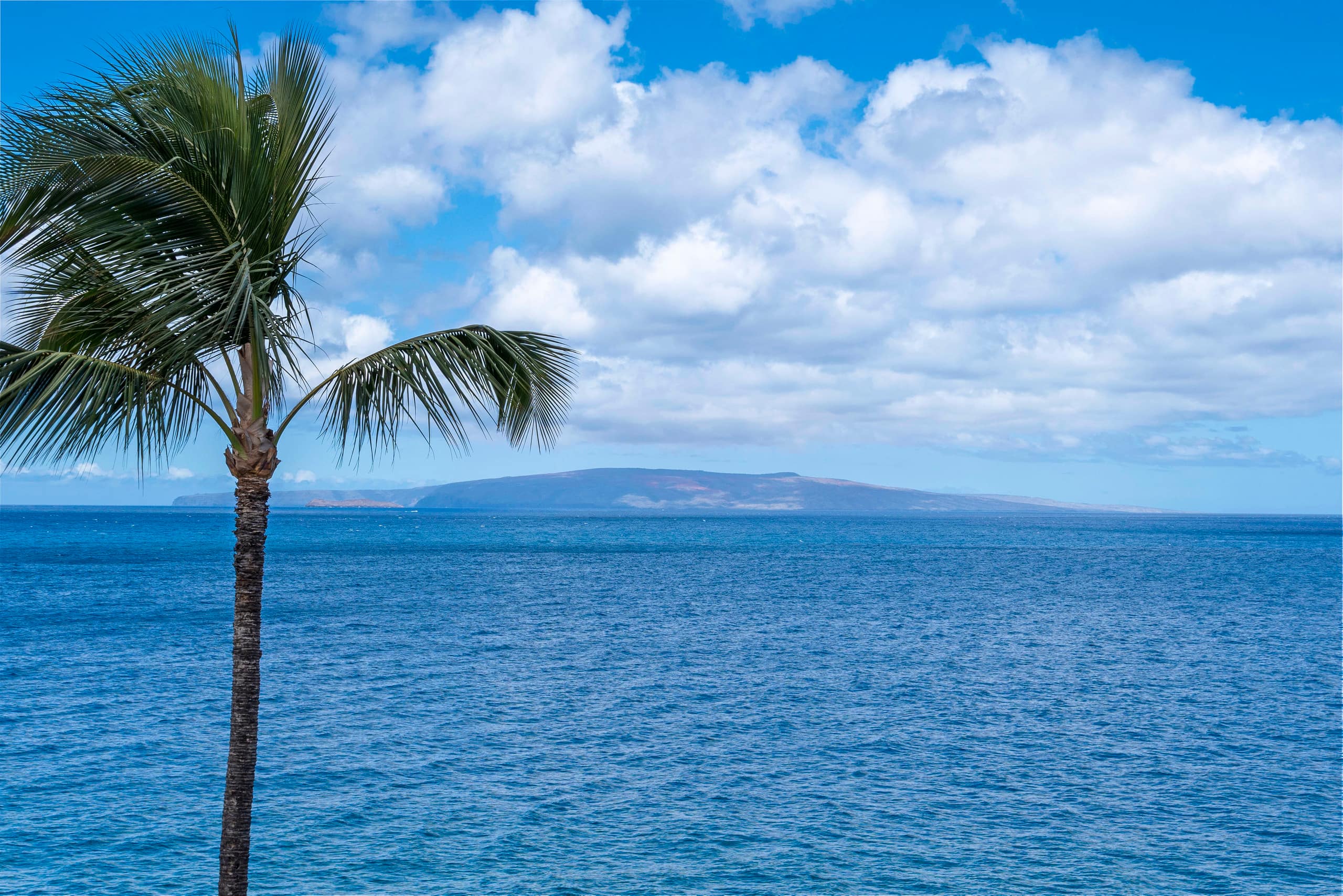 Condo in Kihei · ★4.57 · 2 bedrooms · 3 beds · 2 baths - Image 25