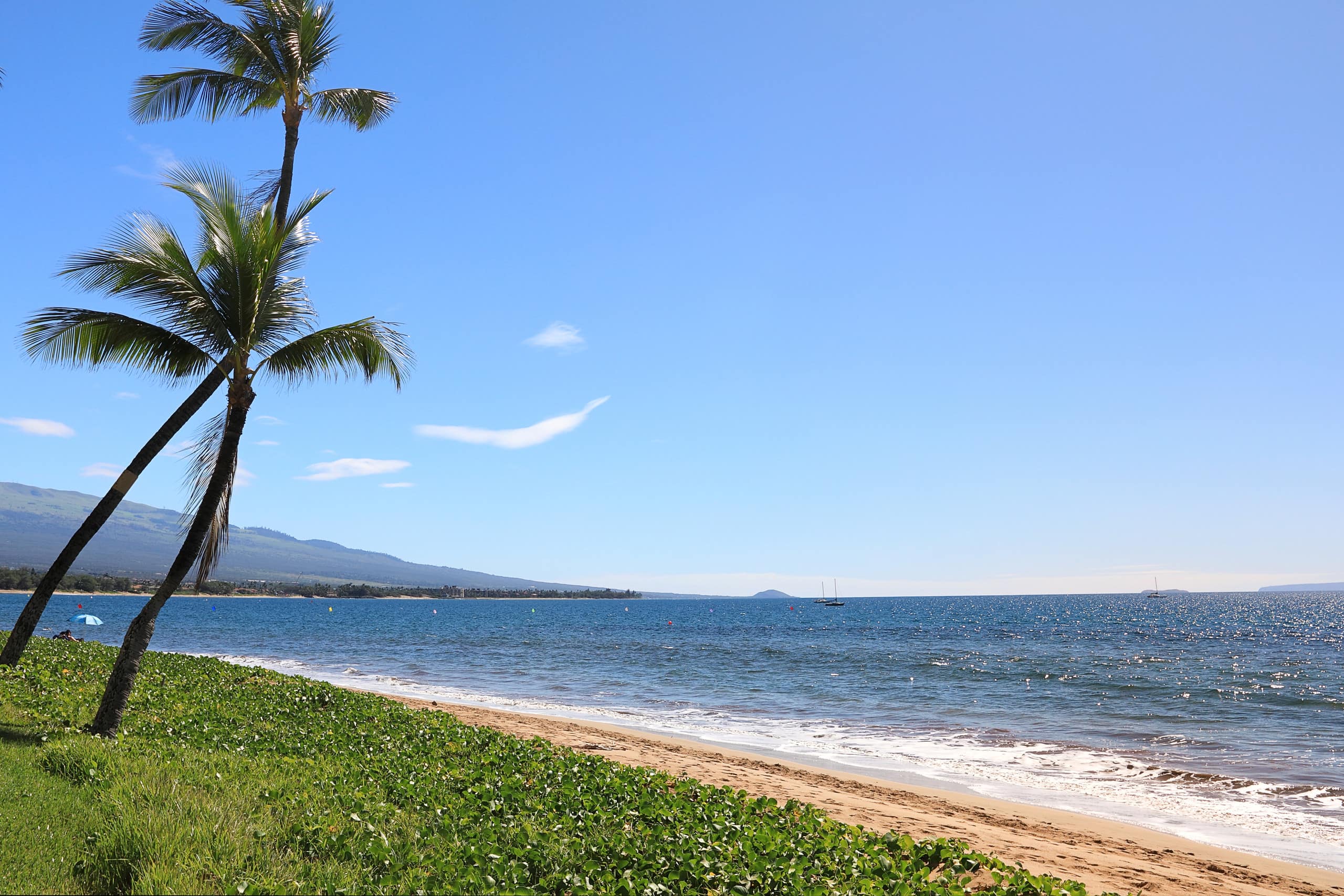 Condo in Kihei · ★4.88 · 1 bedroom · 2 beds · 1 bath - Image 17