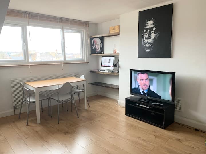Entire Quiet Spacious Home - London