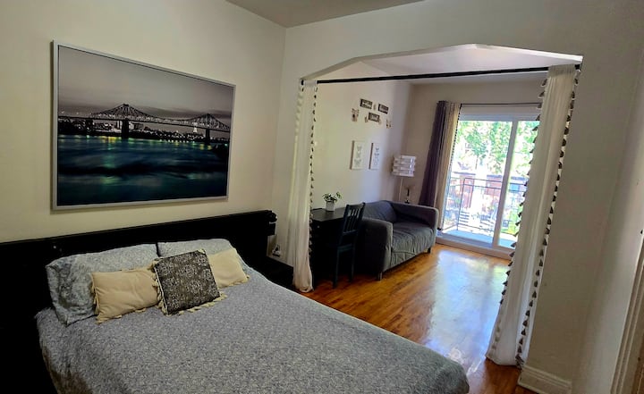 Apt. Lumineux-quartier Chouette (4) - Montreal
