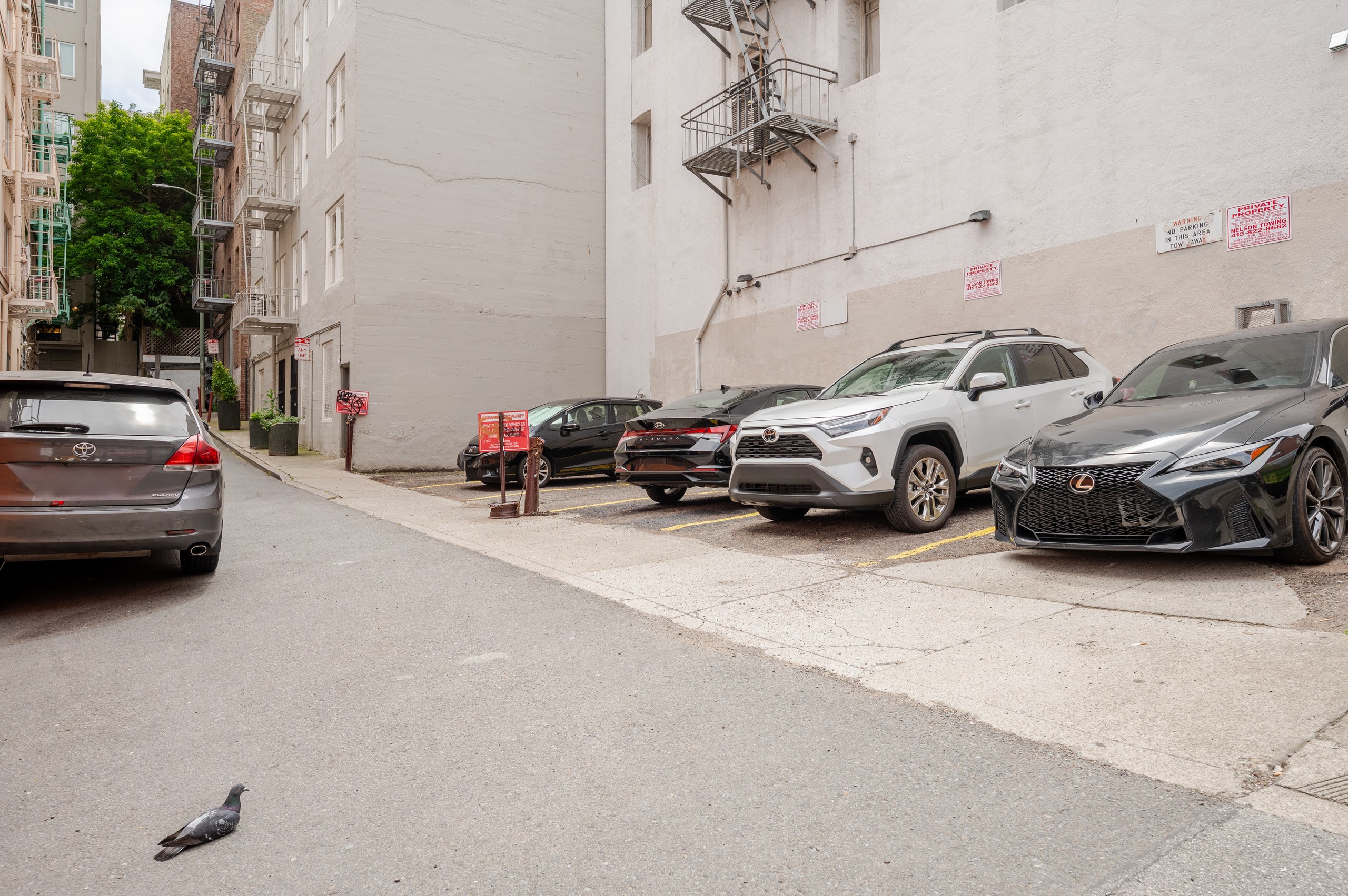 Condo in San Francisco · ★4.93 · 2 bedrooms · 2 beds · 1.5 baths - Image 76