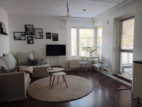 Successful Airbnb property: Beautiful Scandinavian studio + garage in Helsinki