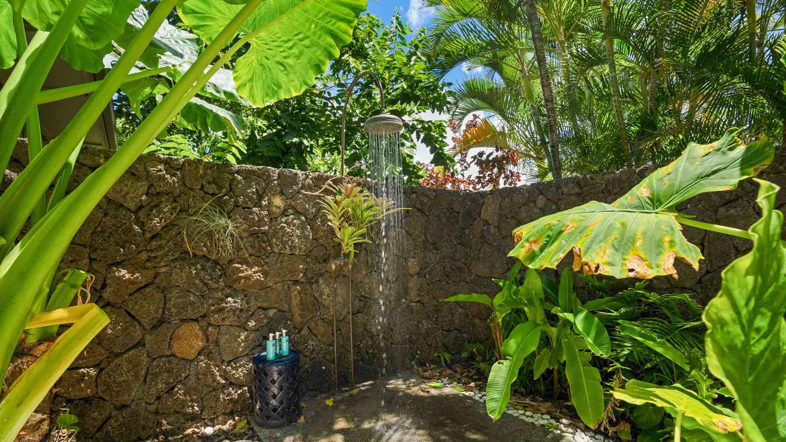 Home in Koloa · ★4.86 · 4 bedrooms · 6 beds · 4.5 baths - Photo 39