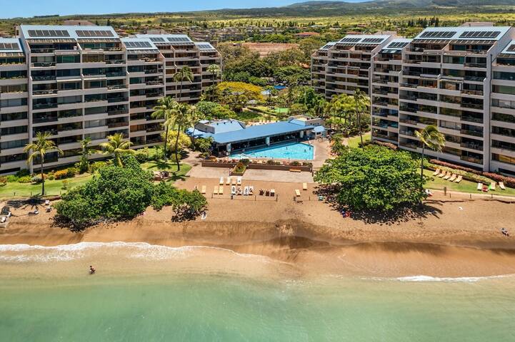 Direct Maui Beach Front! Views! Spacious! A/C! gallery image 5