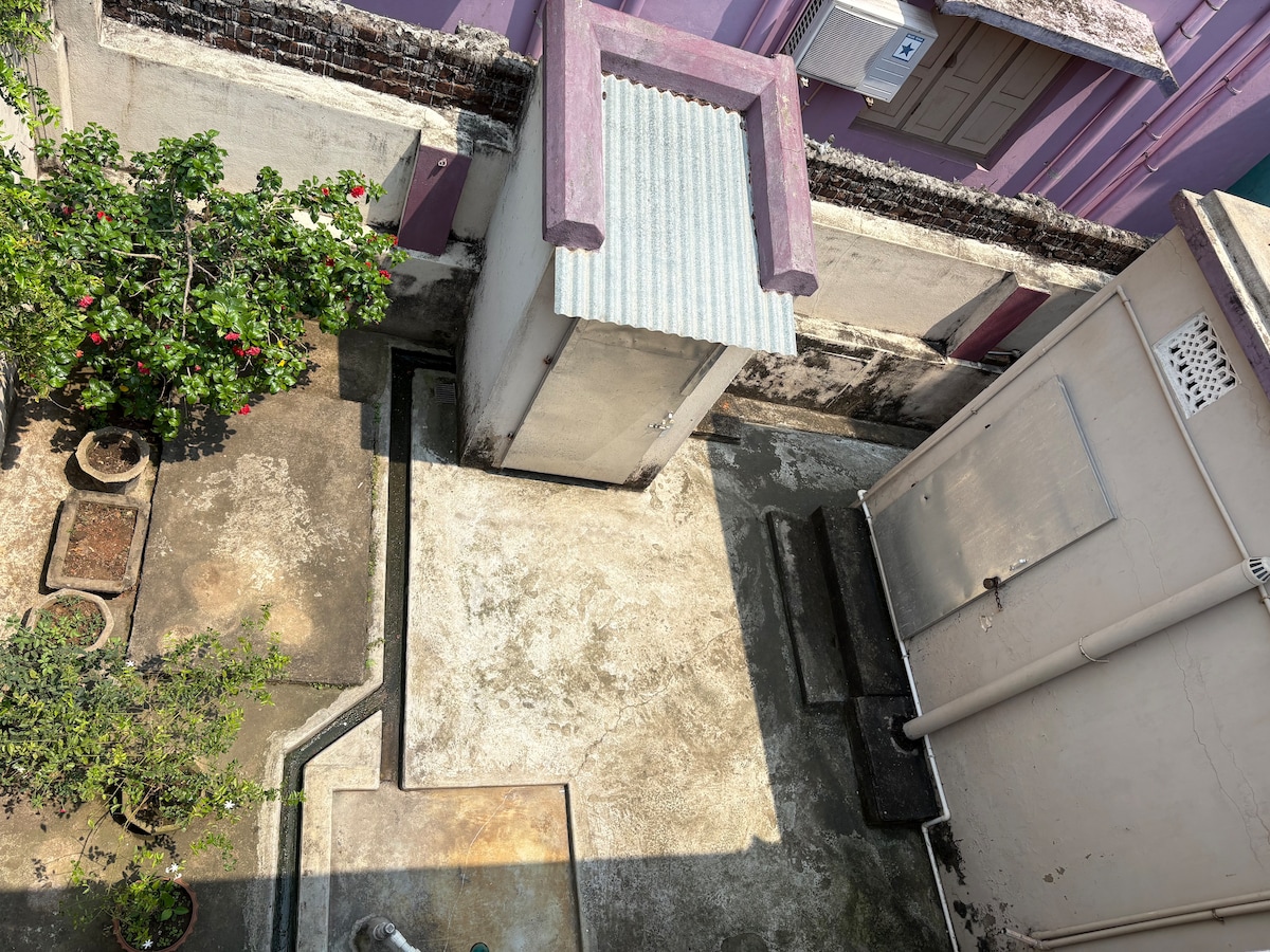 An aerial view of the backyard showcases a compact, paved area with a small shed. Potted plants are placed along the edges, contributing to greenery. Sunlight casts shadows, highlighting the serene environment.
