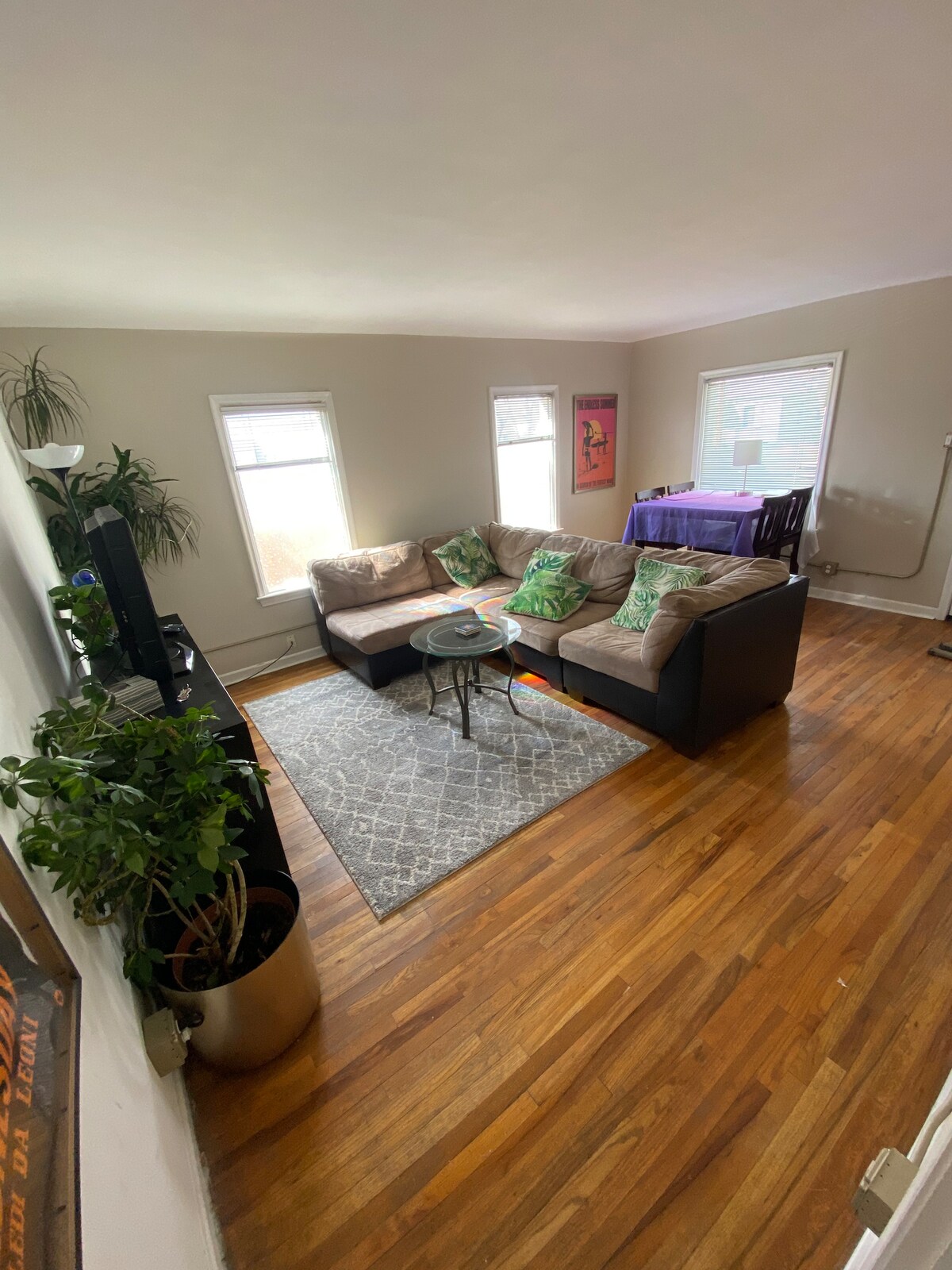 A spacious living area features a comfortable sectional sofa adorned with decorative pillows. A small round table sits on a patterned rug, surrounded by large windows allowing ample natural light. A dining table is visible in the background, complemented by green plants in a decorative pot.