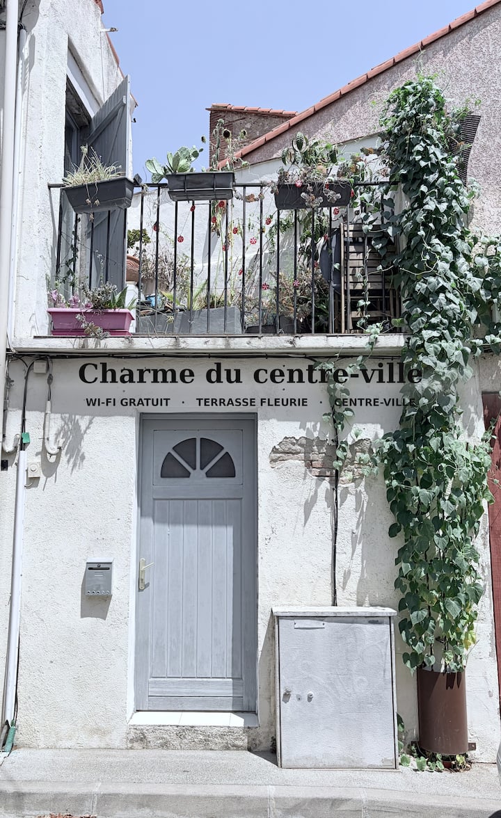 Appartement De 45m2 Calme Quartier Gare. - Perpignan