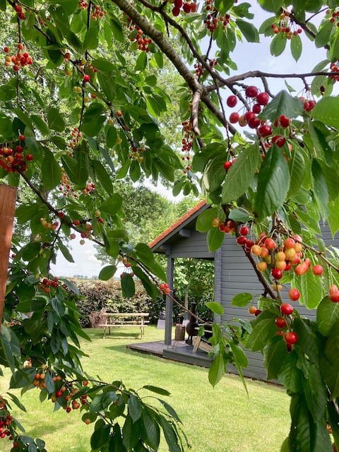 Rural wooden cottage