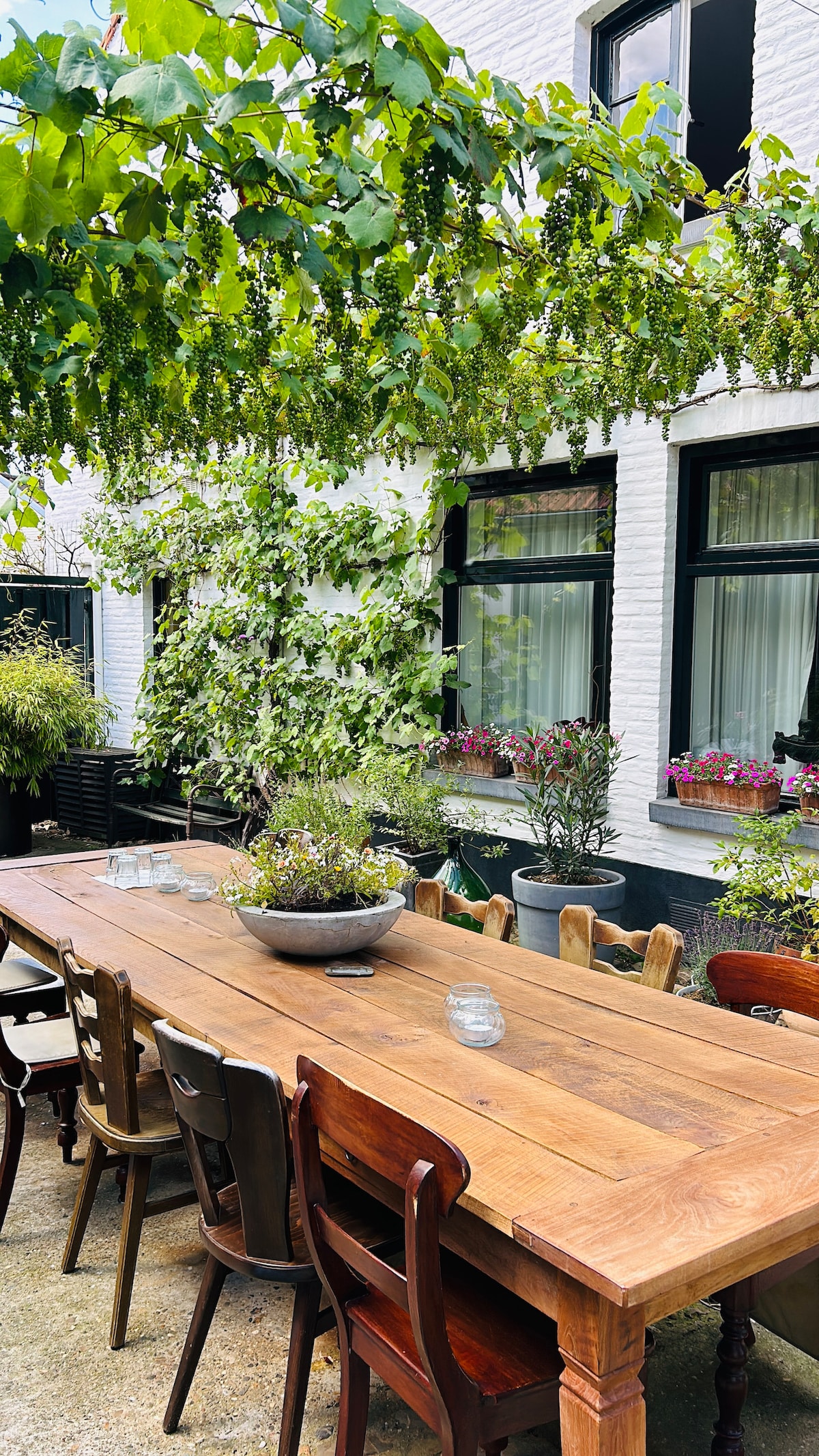 A long wooden dining table is set in an outdoor area, surrounded by a lush canopy of vines and greenery. Various plants and flowers are placed in pots and along the walls, creating a vibrant atmosphere. Natural light filters through the leaves above.
