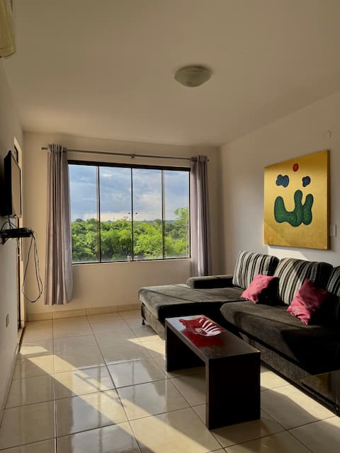 Apartment 38 in Encarnacion