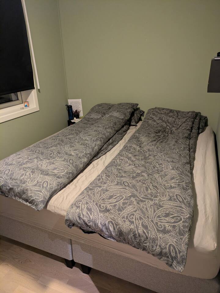 Habitación 1