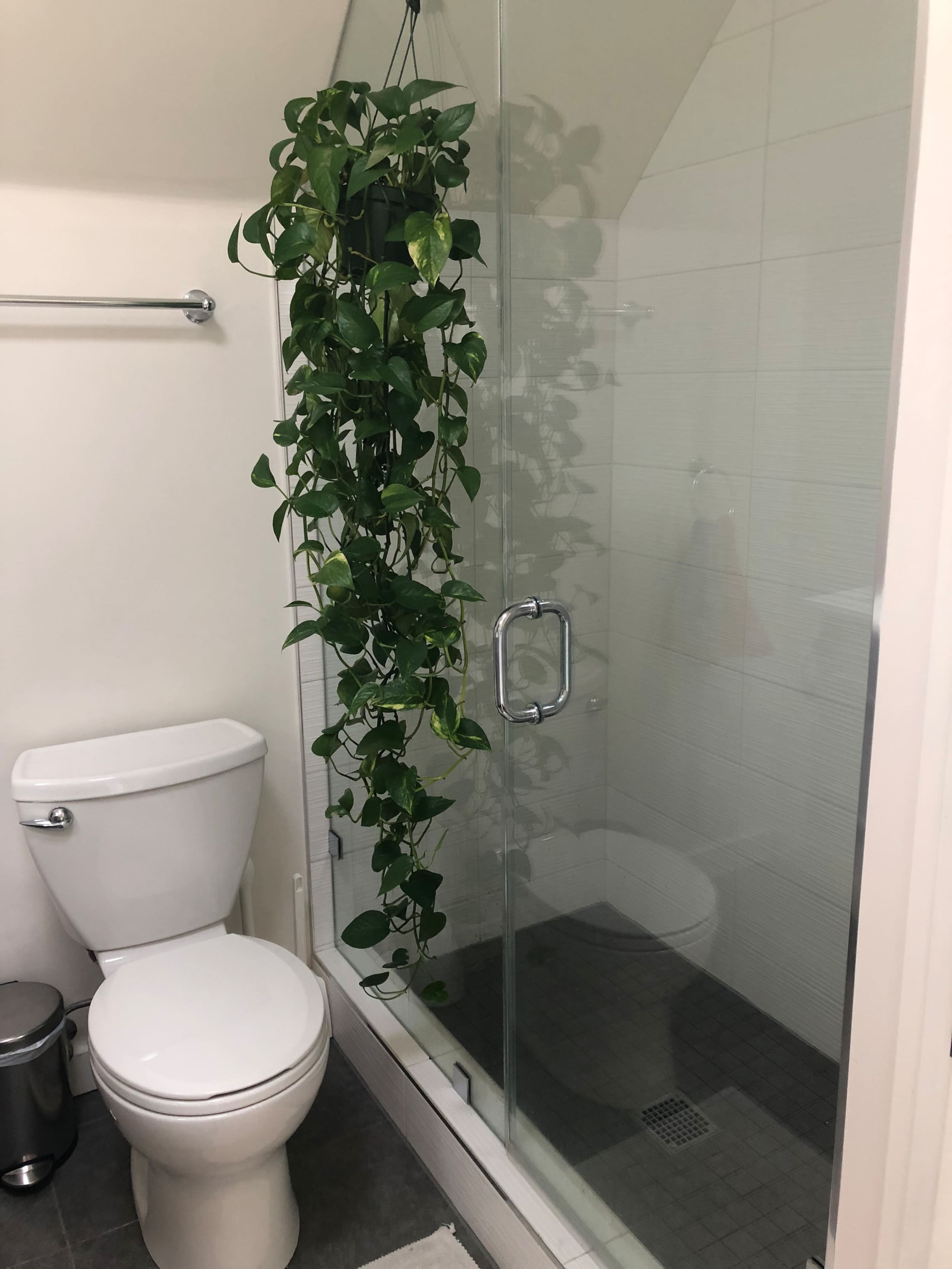 Home in San Francisco · ★4.74 · 3 bedrooms · 3 beds · 2.5 baths - Image 19