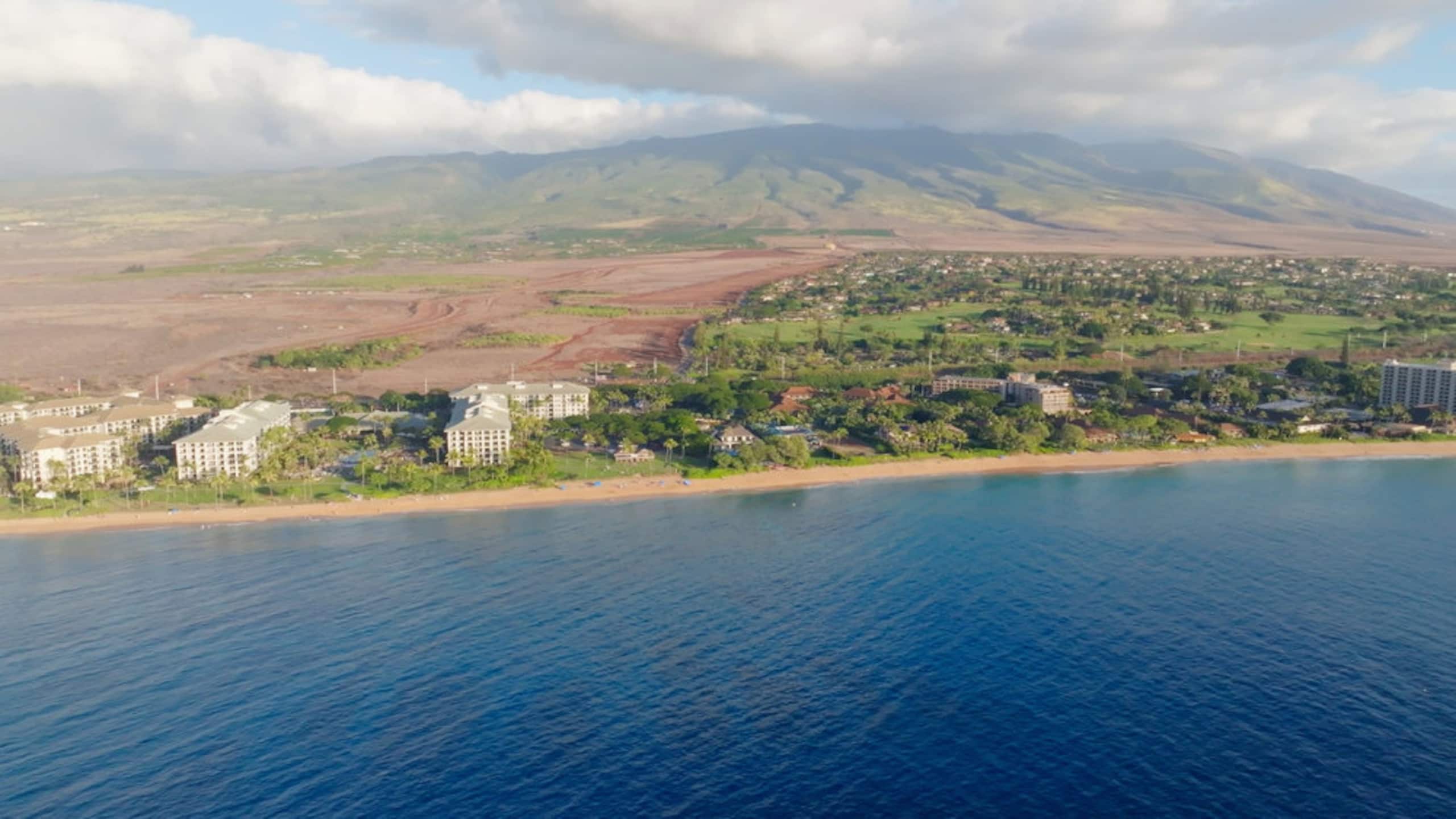 CLASSIC HAWAIIAN COTTAGE - Image 31