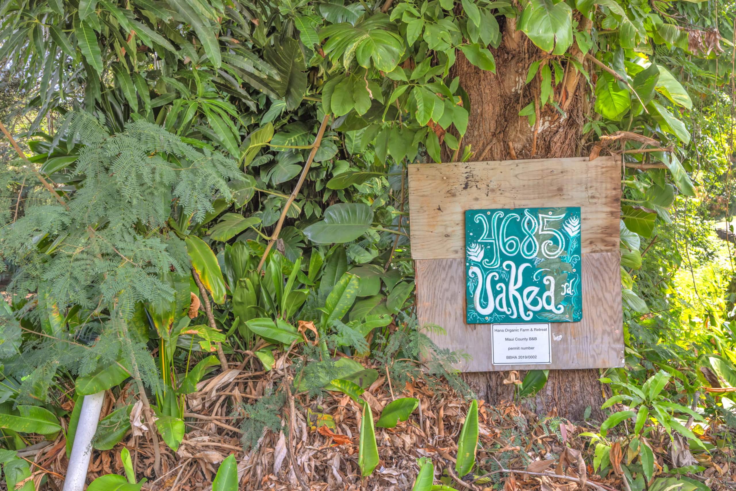 Stay in Hana Upstairs - Photo 27