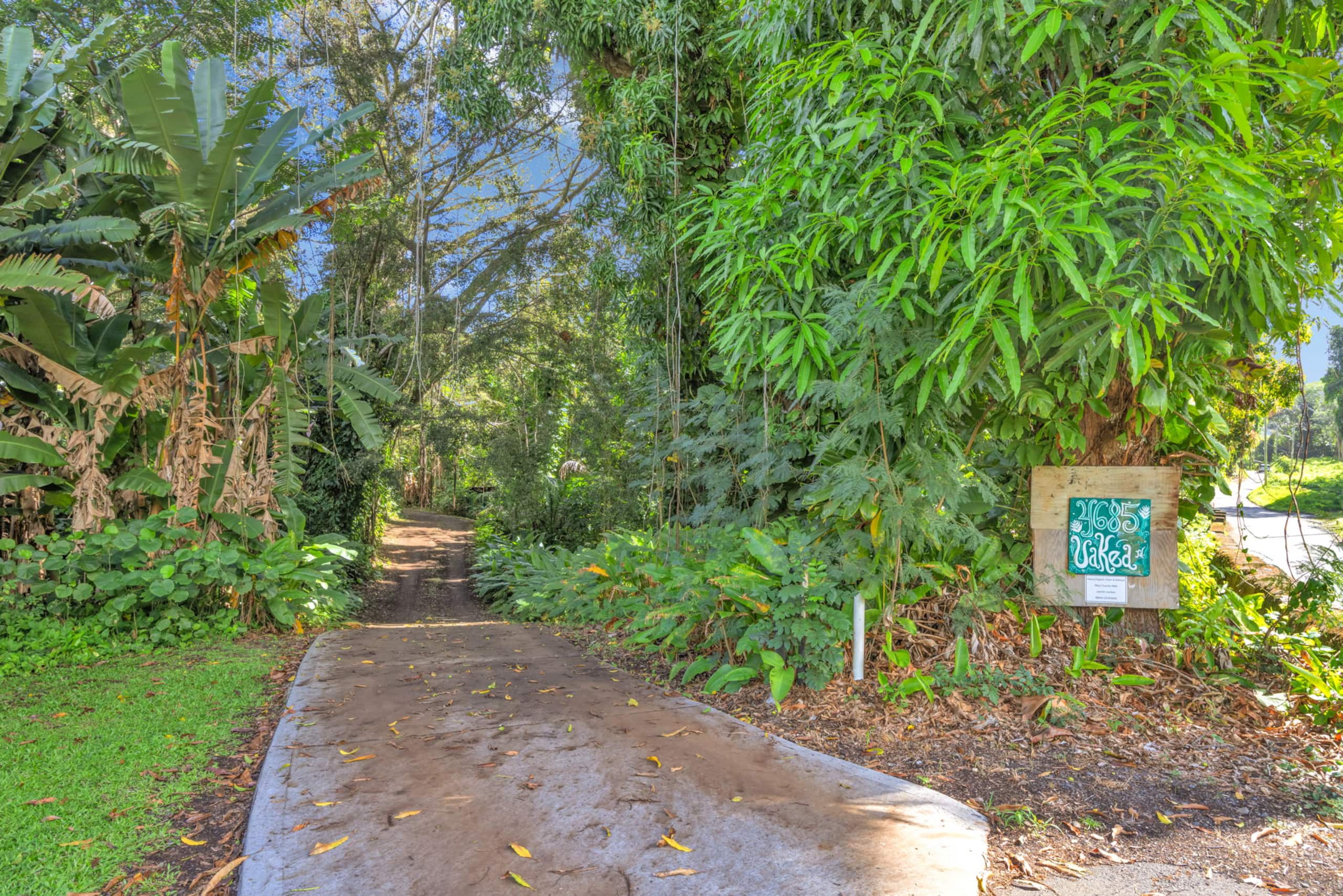 Stay in Hana Upstairs - Photo 28