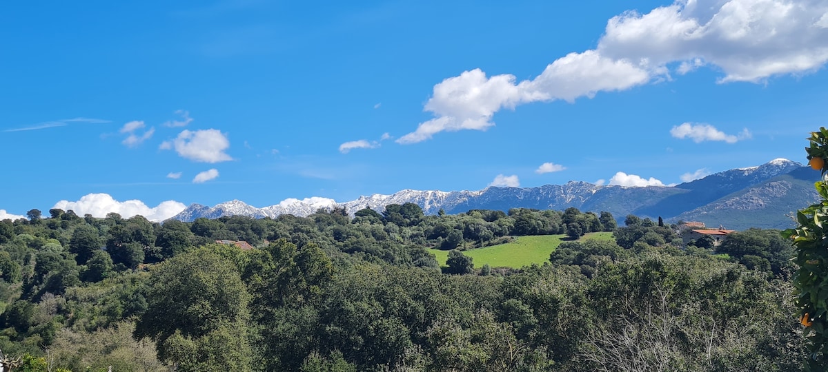 A sweeping view of mountains is visible, capped with snow. Lush greenery and scattered trees dominate the foreground, while beneath a bright blue sky, the natural landscape unfolds with a mix of hills and open fields.