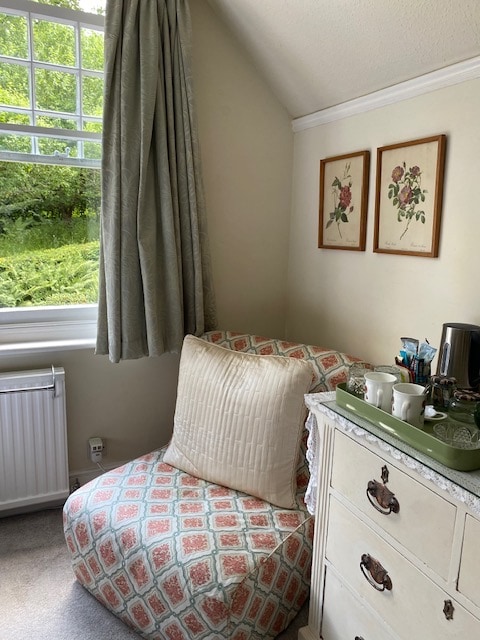 Bective, Lindfield - Twin room