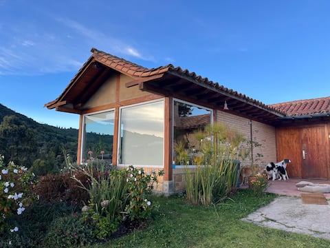 Amber Home