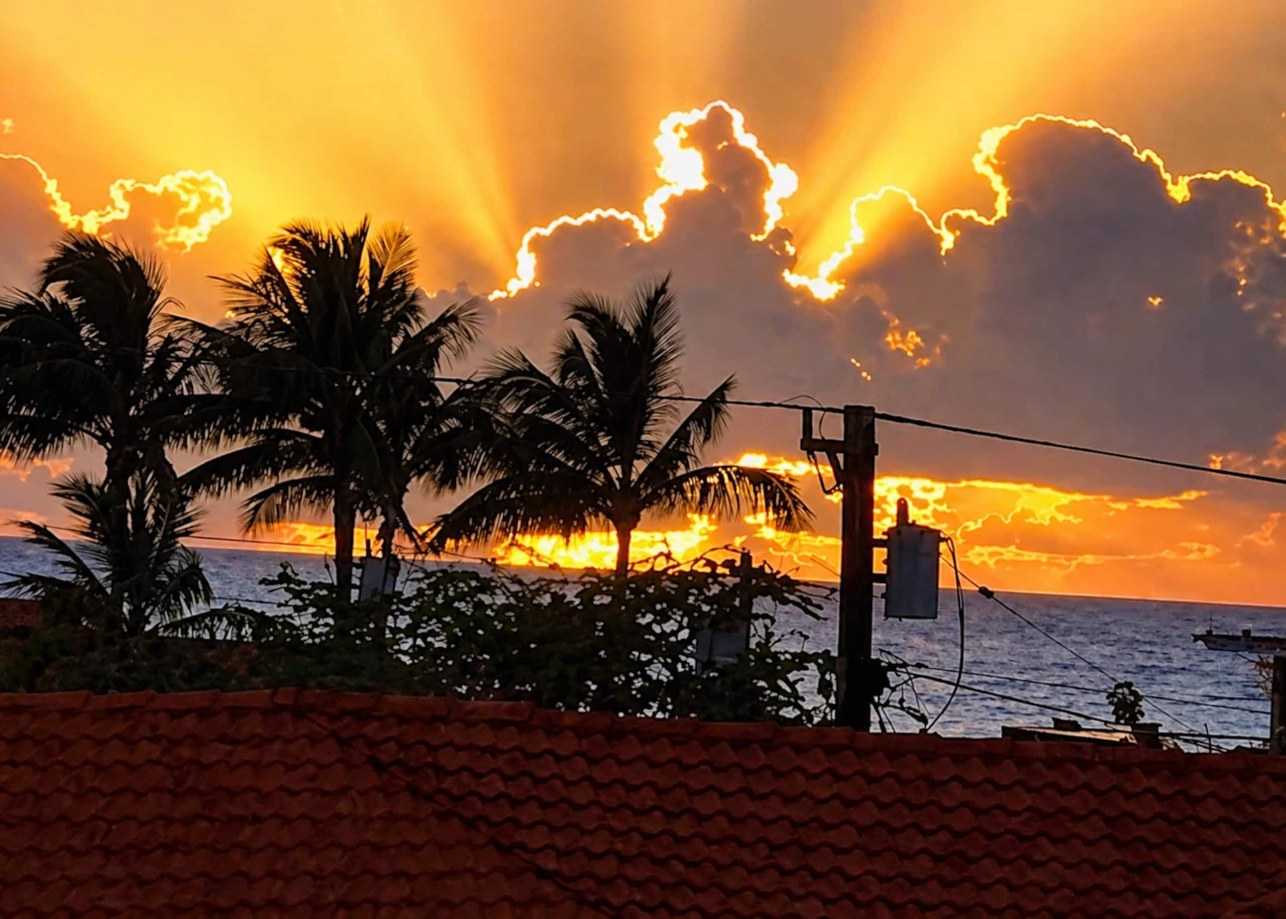 Condo in Kihei · ★4.8 · 1 bedroom · 2 beds · 1 private bath - Image 16