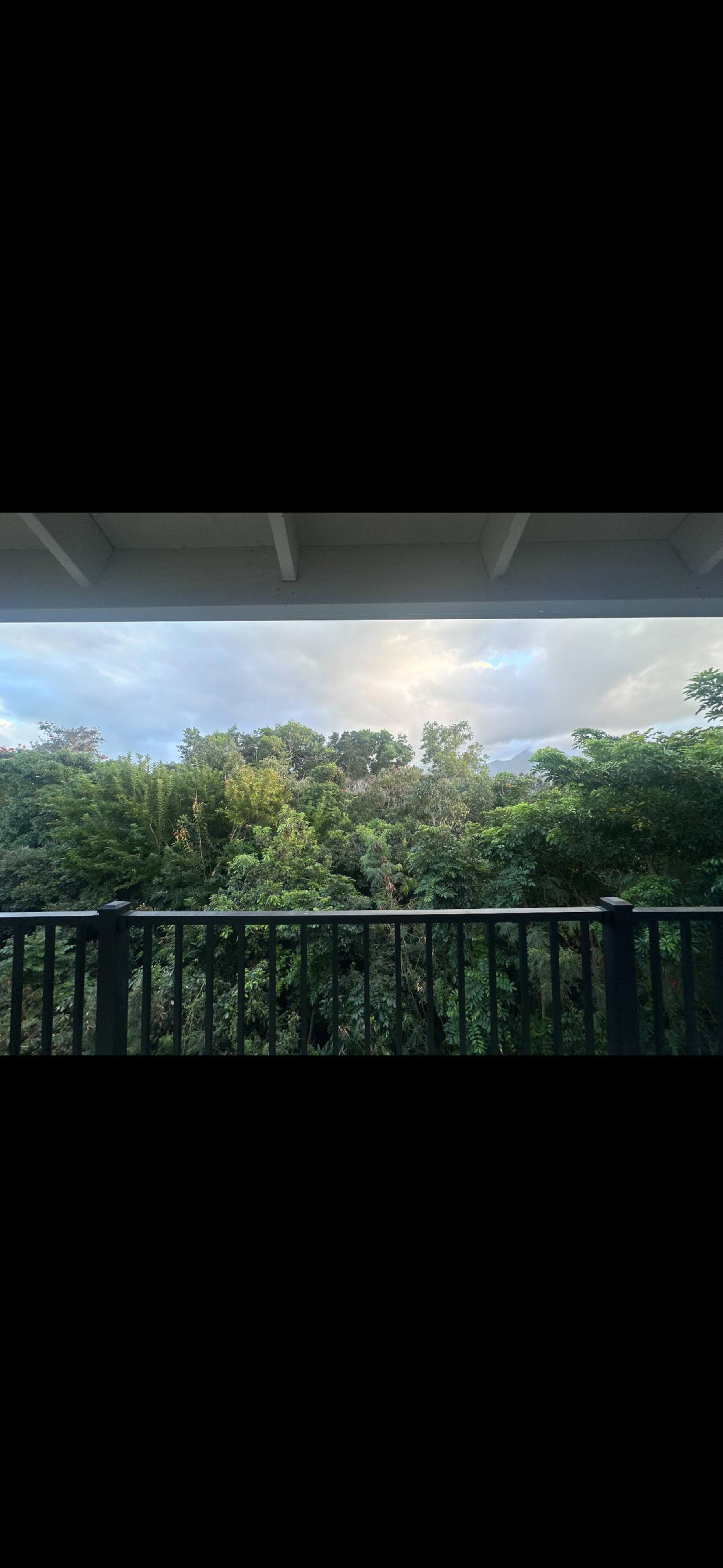 Condo in Princeville · ★4.89 · 1 bedroom · 2 beds · 1 bath - Image 30