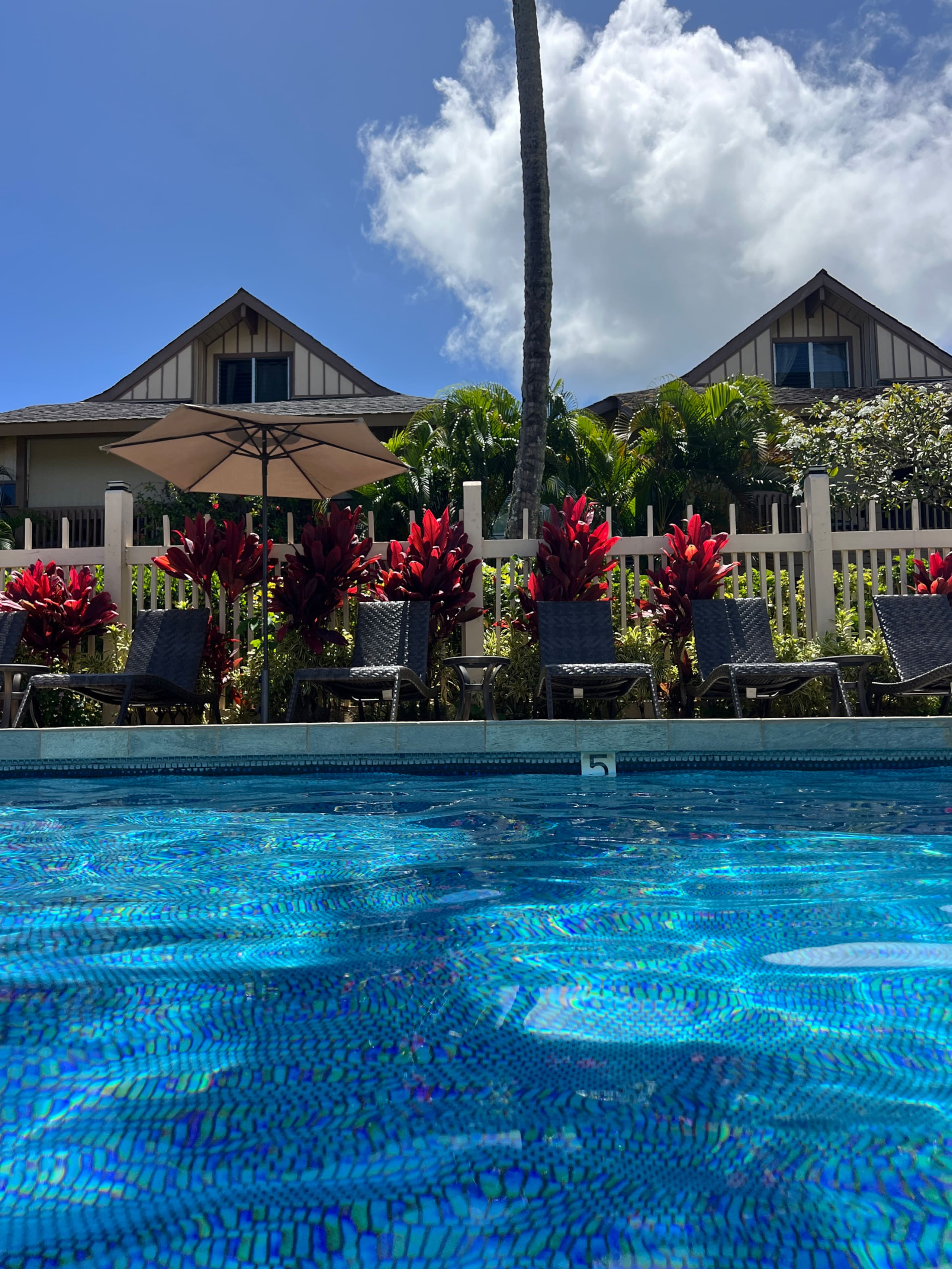 Princeville Delight! Cold Air,Pool&HotTub,SurfBrds - Photo 11