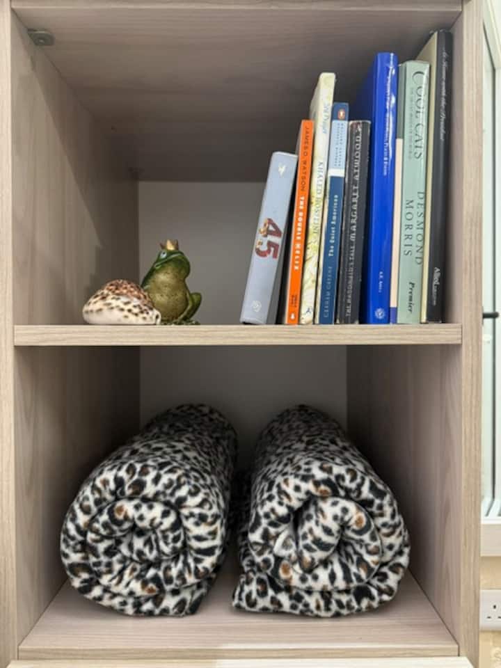 Habitación 2