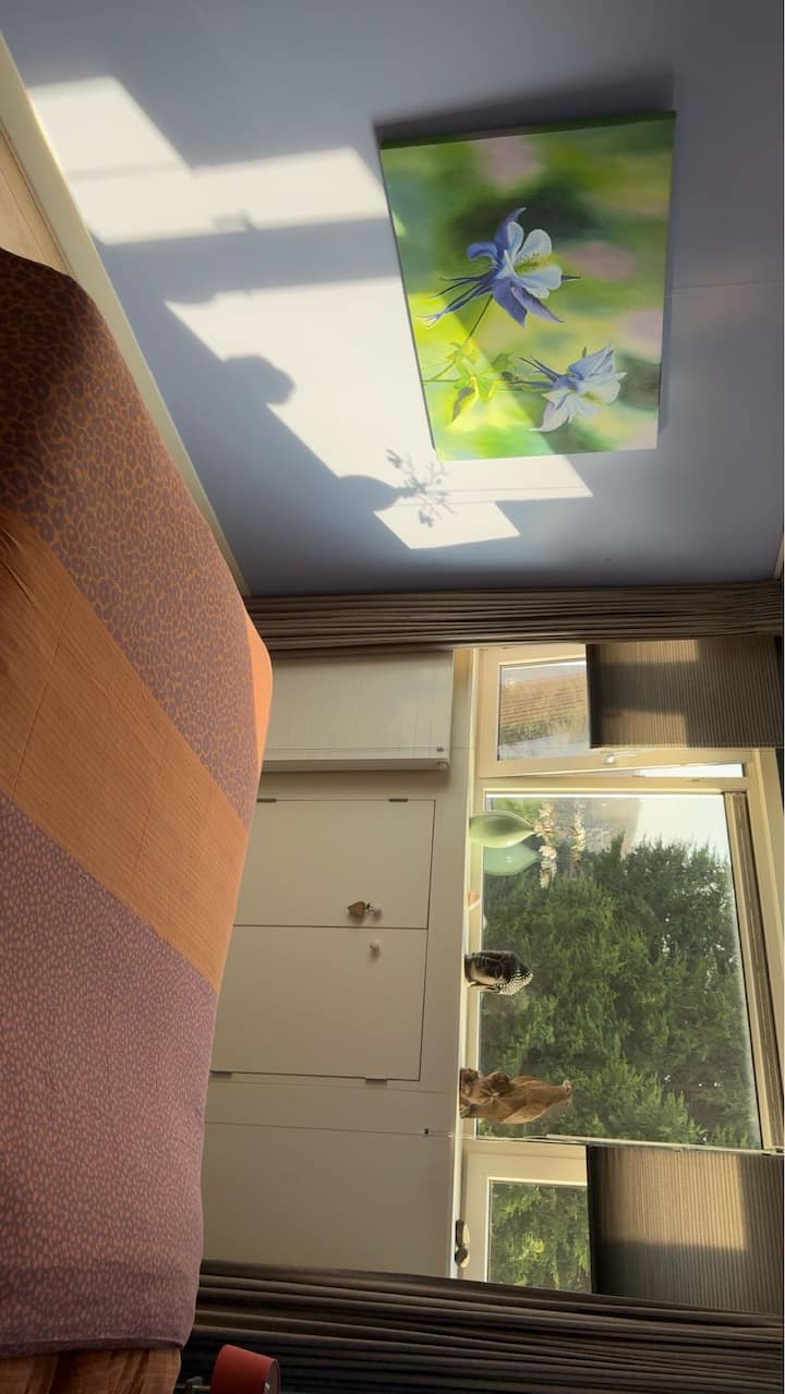 Habitación 1