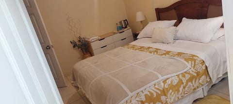 Successful Airbnb property: Independent loft with parking. in Región De ñuble