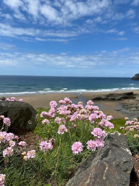 Cornwall - Near Port Issac & Polzeath