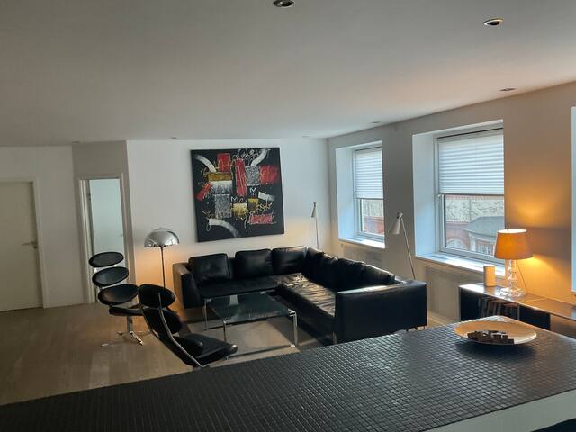 160 qm apartment in central Copenhagen City gallery image 2