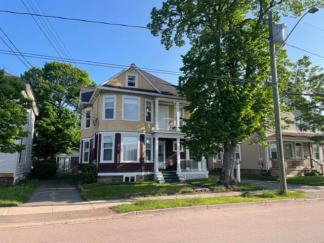 Character, immaculate 4bedroom in downtown Moncton gallery image 2
