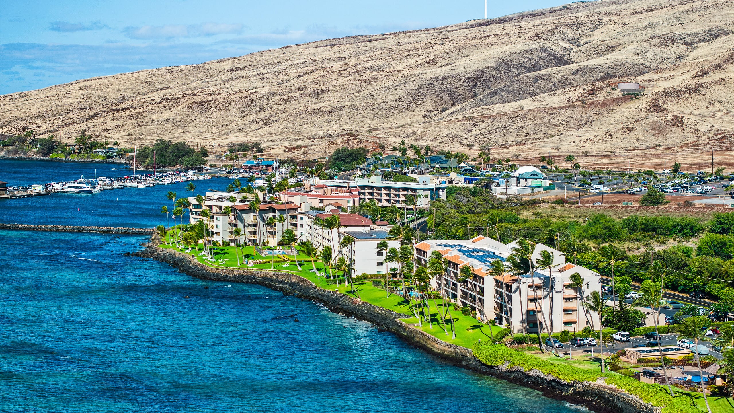 Condo in Wailuku · ★4.97 · 2 bedrooms · 3 beds · 2 baths - Image 46