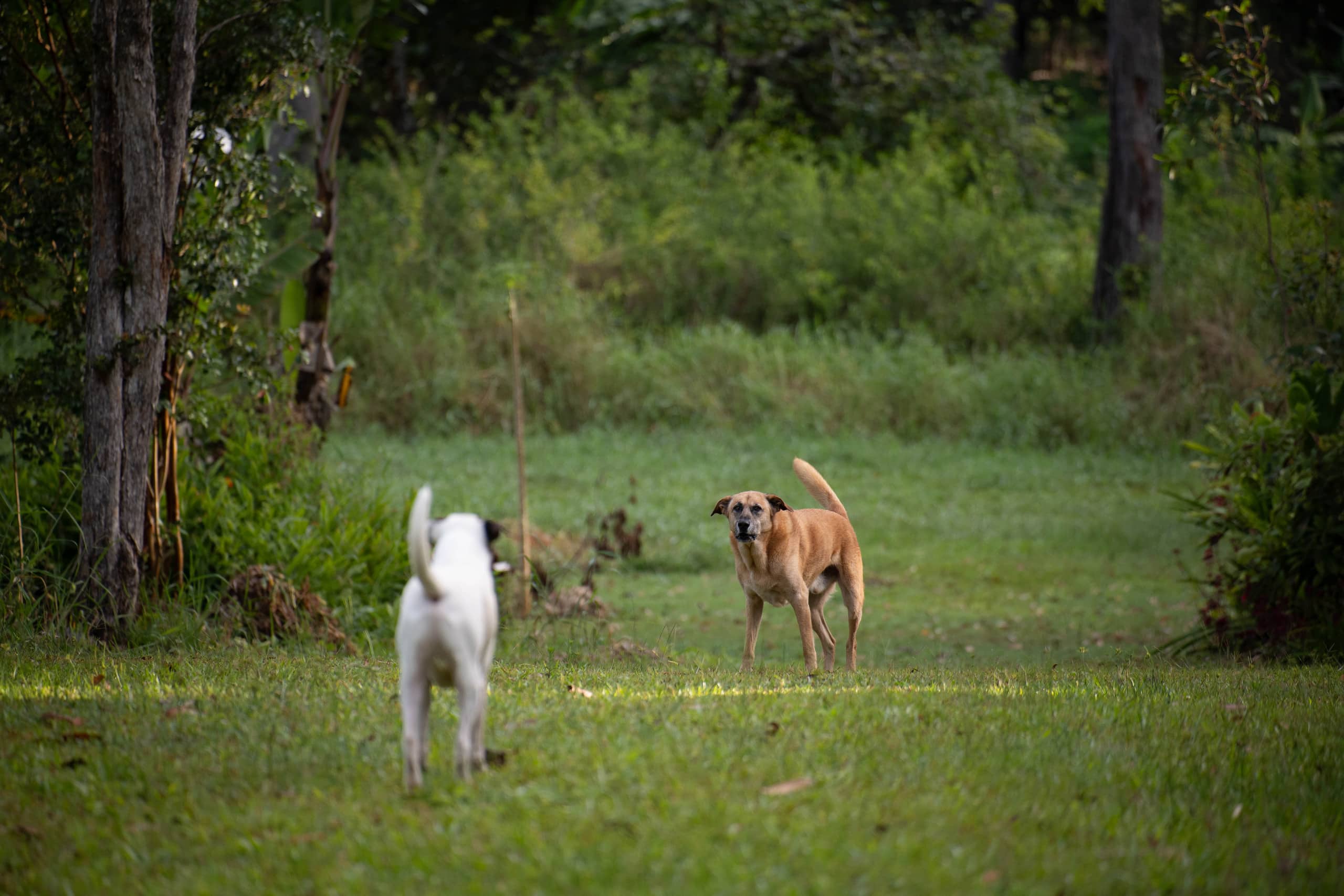 Heart Room @HamakuaSanctuary - Image 27