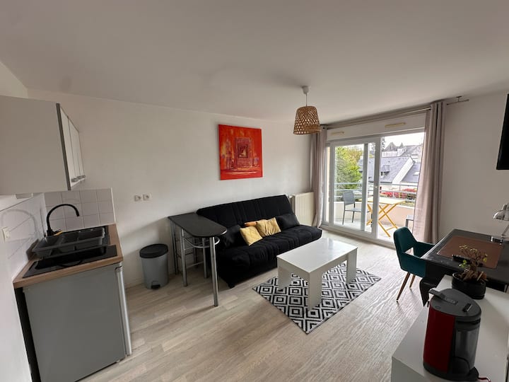 Charmant Studio Avec Balcon Et Parking - Vannes