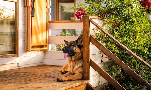 Pet-friendly idyllic house in the Table Mountains