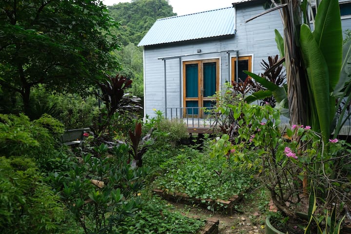 Blue Lagoon Cat Ba - Tiny house