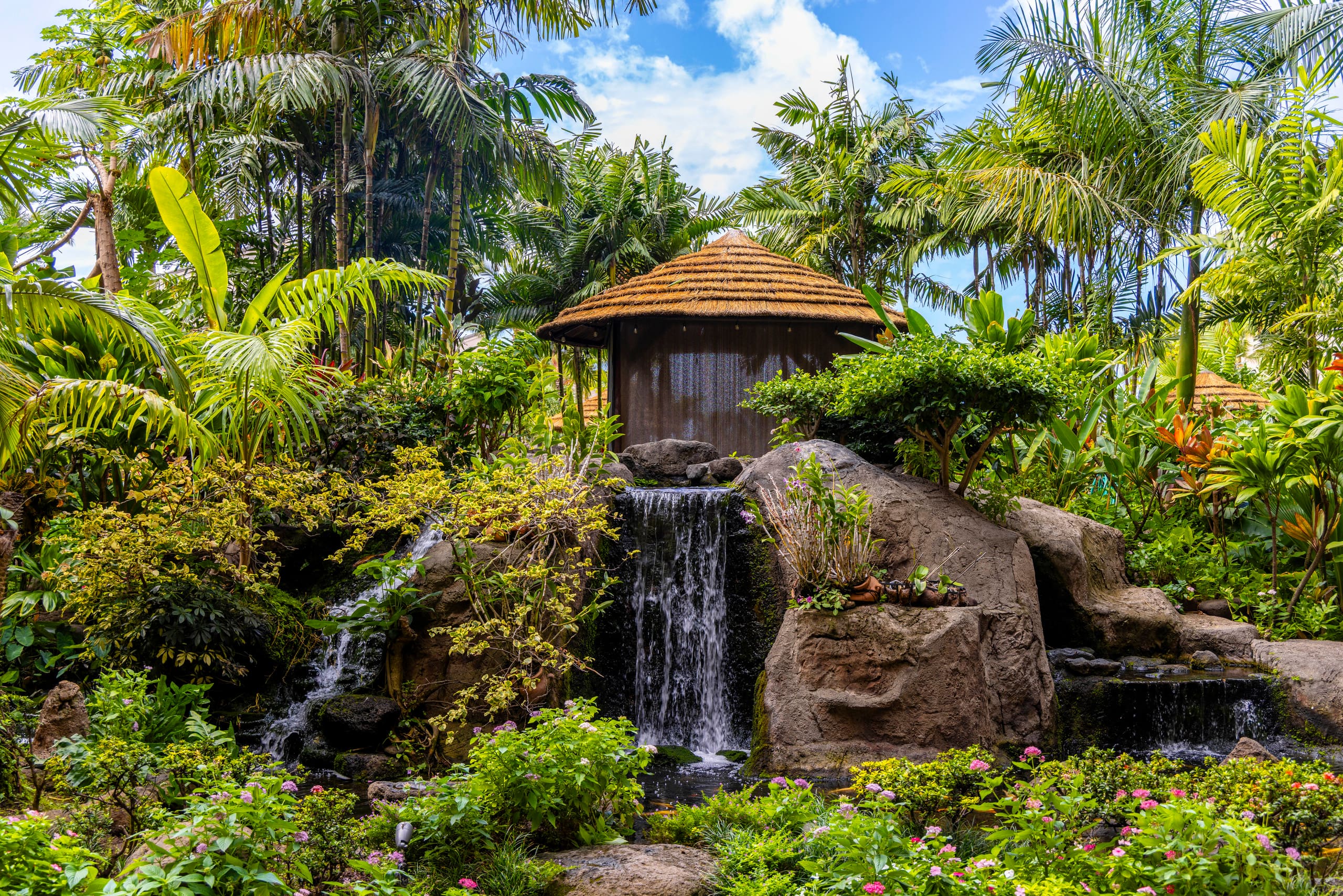 Condo in Lahaina · ★4.98 · 1 bedroom · 2 beds · 1 private bath - Image 26