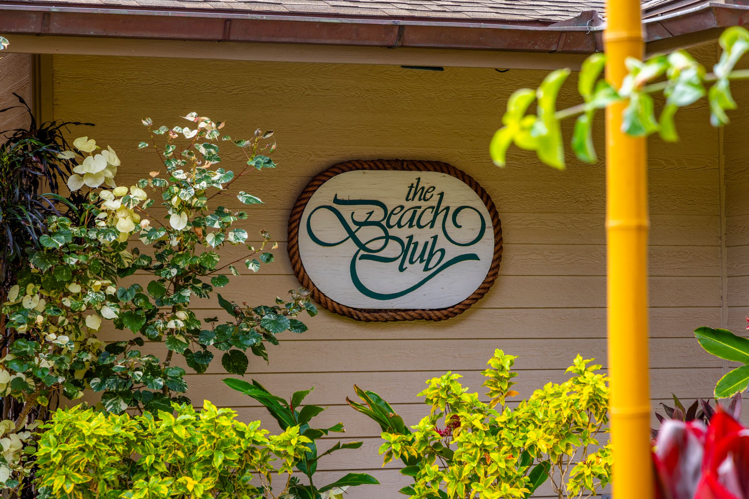 Condo in Lahaina · ★4.98 · 1 bedroom · 2 beds · 1 private bath - Image 22