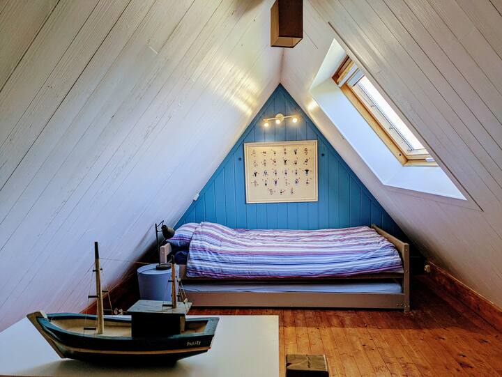 Chumba cha Attic kinachofikika kwa ngazi ya miller.