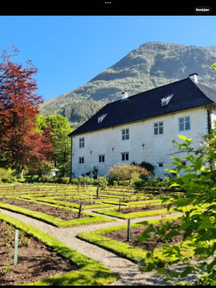 Norges eneste baroni