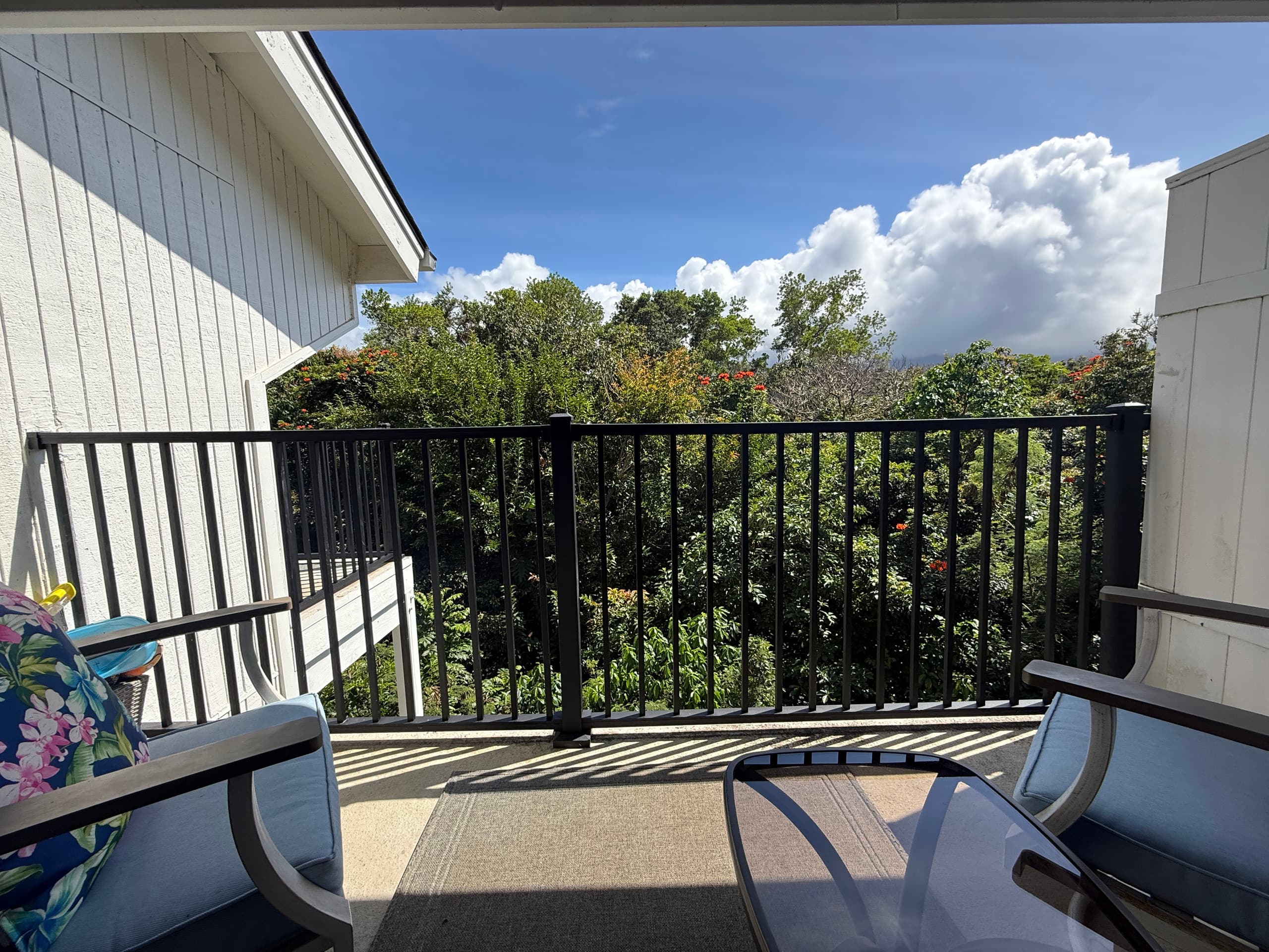 Condo in Princeville · ★4.83 · Studio · 2 beds · 1 bath - Image 12
