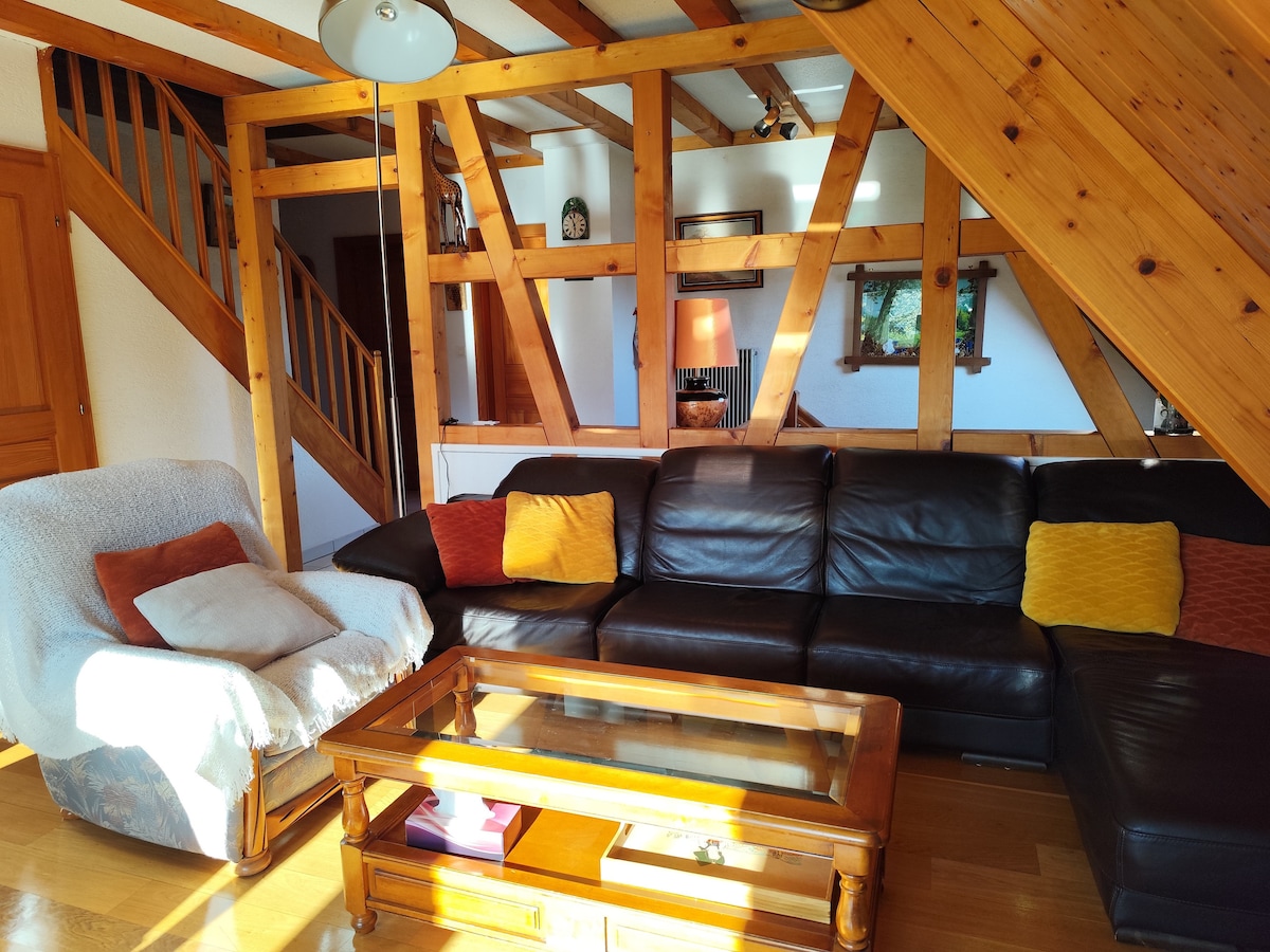 Proprietà Airbnb di successo: Gîte du Hengst, 3*
Between villages & castles a Wintzenheim