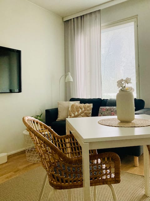 Successful Airbnb property: Train(300m), next to airport, Wifi, HEL(30min) in Vantaa
