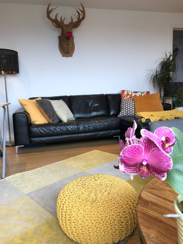 Central Penthouse Apartment, Free Parking - Edinburgh