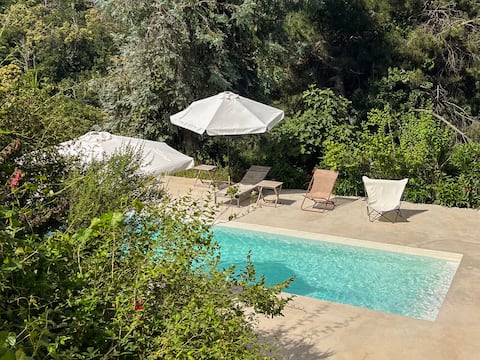 Bed and breakfast: A Tiusella