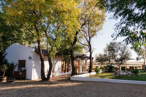 OLYF guesthouse: cottage