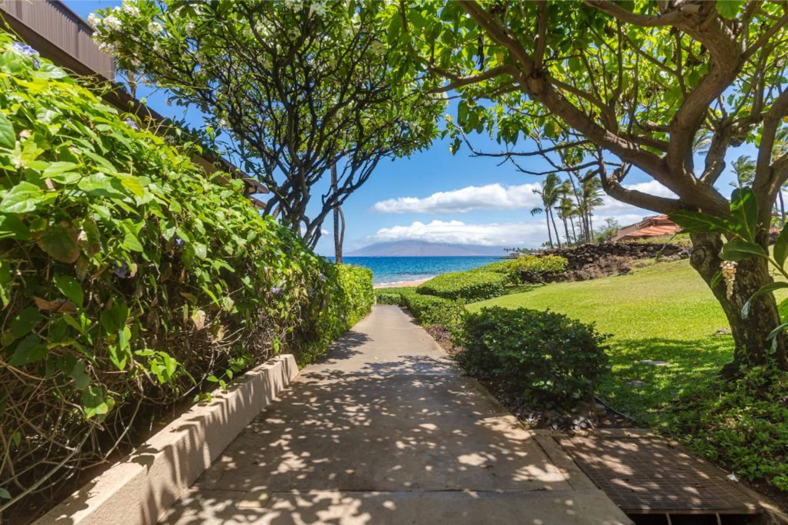 Condo in Makena, Maui · ★5.0 · 2 bedrooms · 2 beds · 2 baths - Image 46