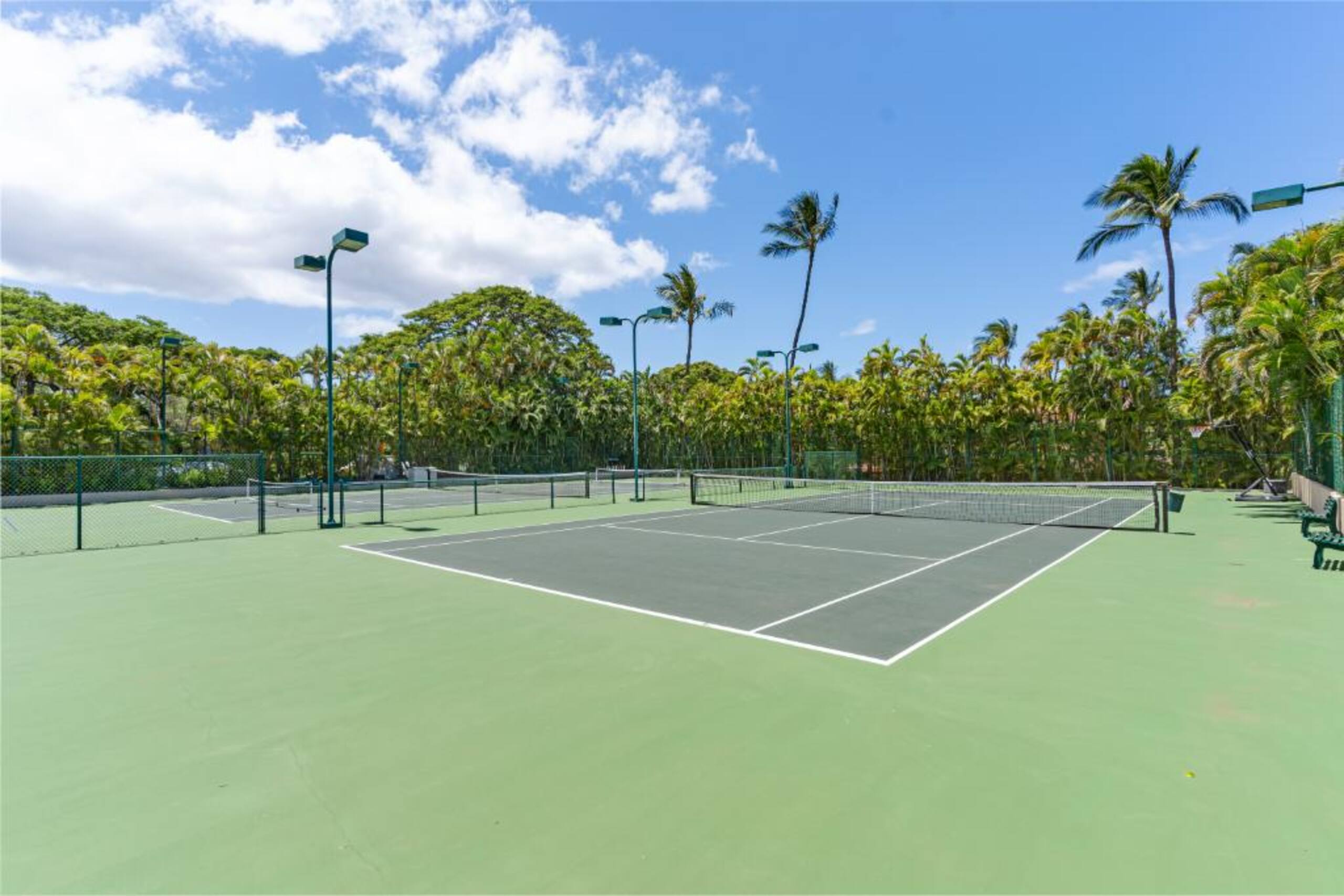 Condo in Makena, Maui · ★5.0 · 2 bedrooms · 2 beds · 2 baths - Image 44