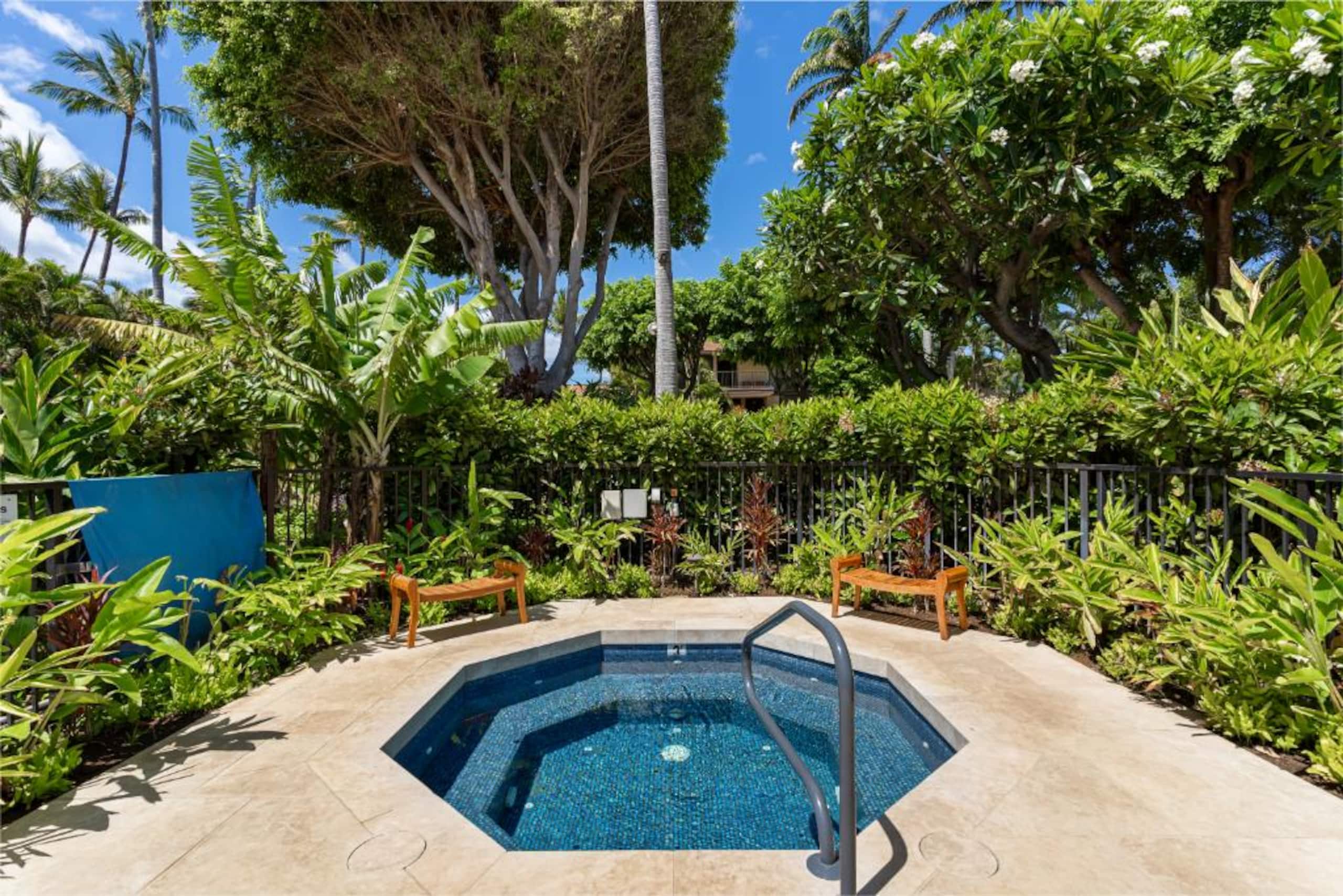 Condo in Makena, Maui · ★5.0 · 2 bedrooms · 2 beds · 2 baths - Image 25