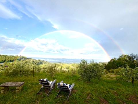 Sonoma Mountain Incredible Views Artist's Retreat